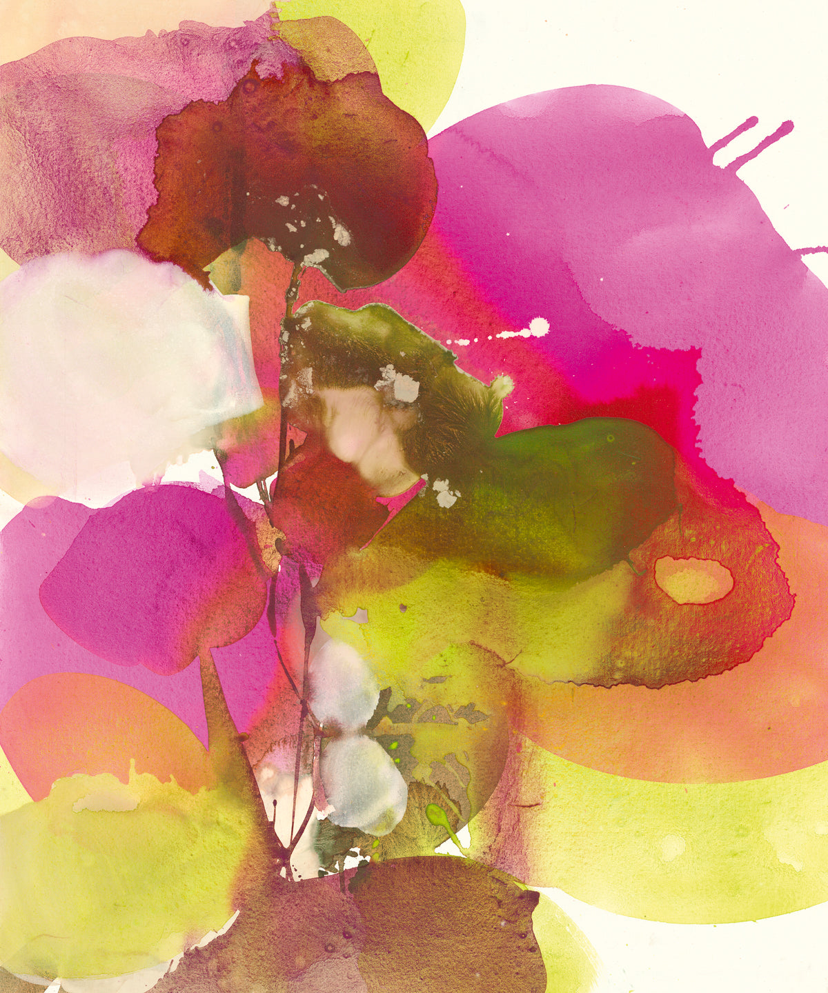 El Witt - Blossoms Abstracts