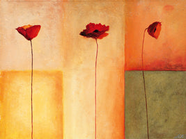 Erika Heinemann - Dreierlei Mohn II