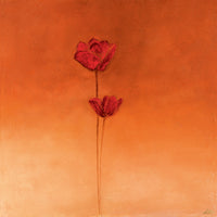 Erika Heinemann - Poppy Elegance II