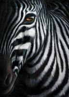 Jutta Plath - Zebra I