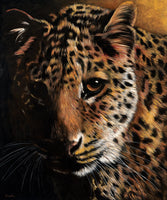 Jutta Plath - Leopard