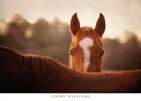 Jimmy Williams - Boundaries