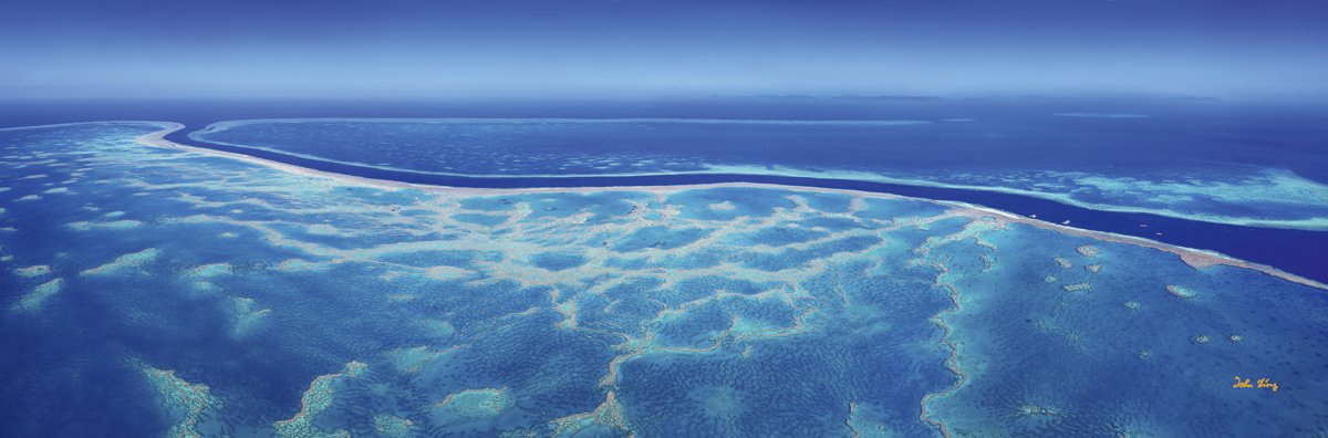 John Xiong - Great Barrier Reef III