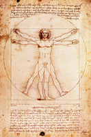 Leonardo Da Vinci - Proportionszeichnung nach Vitruv