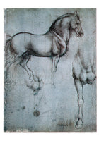 Leonardo Da Vinci - Studio di cavalli