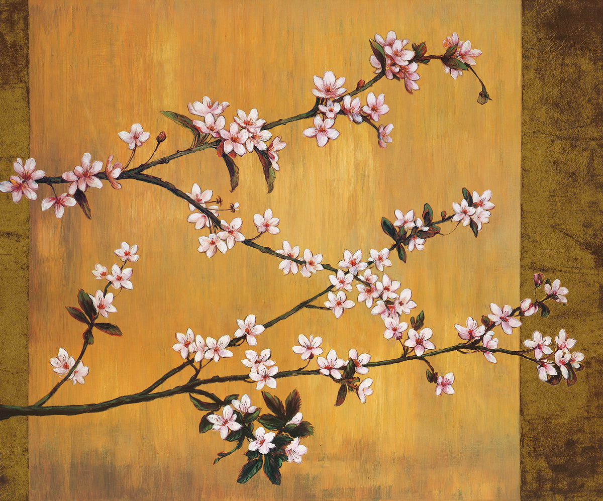 Erin Lange - Cherry Blossoms