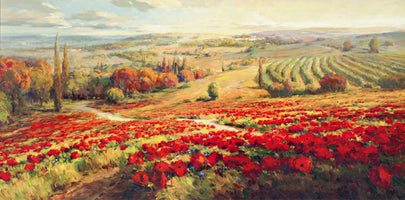 Roberto Lombardi - Red Poppy Panorama