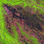 Landsat-7 - Demini River