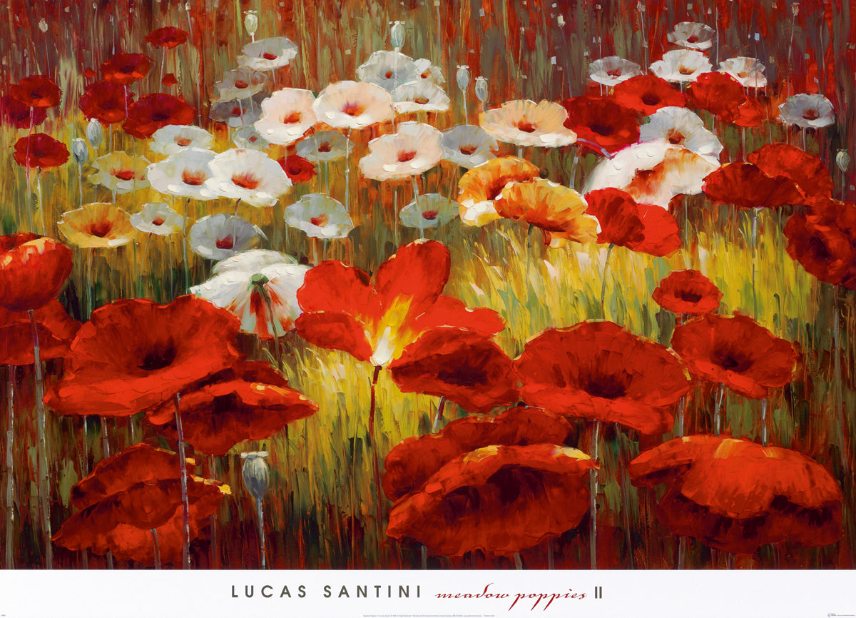 Lucas Santini - Meadow Poppies II