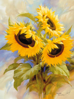 Igor Levashov - Sunflowers