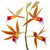 Micha Pawlitzki - Flower