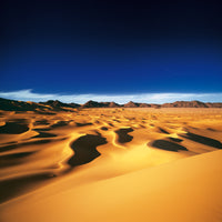 Michael Martin - Die Wüsten der Erde