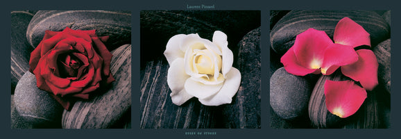 Laurent Pinsard - Roses on stones