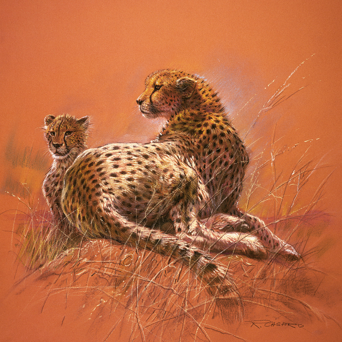 Renato Casaro - Cheetah Mother