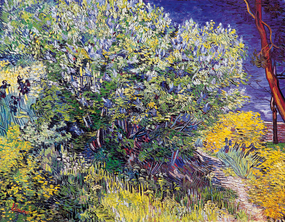 Vincent Van Gogh - Lillas