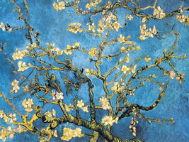Vincent Van Gogh - Mandelbaumzweig