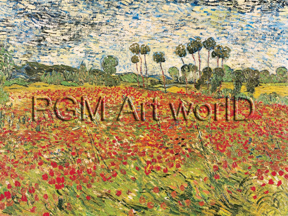 Vincent Van Gogh - Field of Poppies
